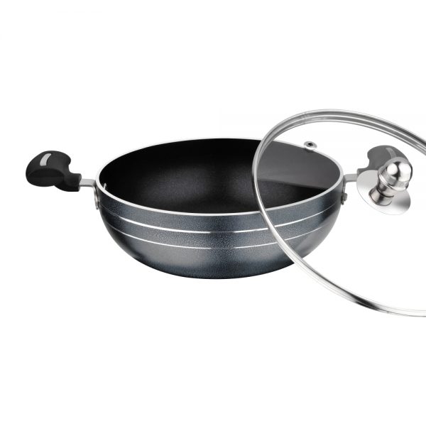 Multi Pan with Glass Lid – Unique Series